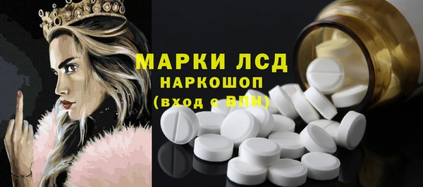 прущие грибы Абаза