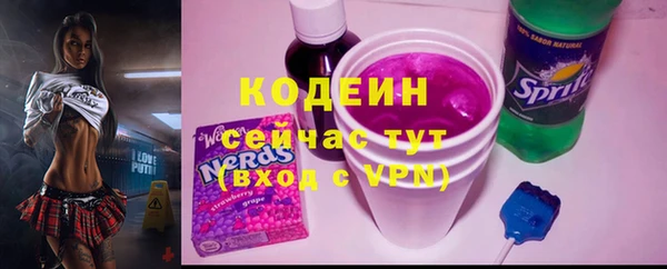 прущие грибы Абаза