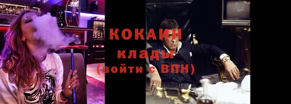 прущие грибы Абаза