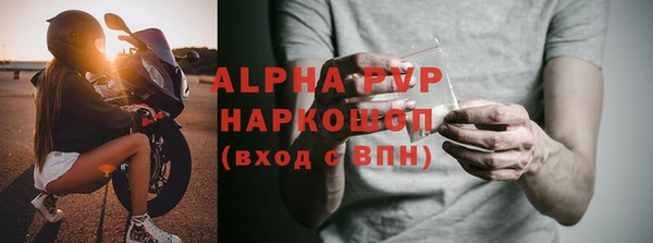 прущие грибы Абаза