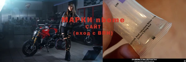 прущие грибы Абдулино