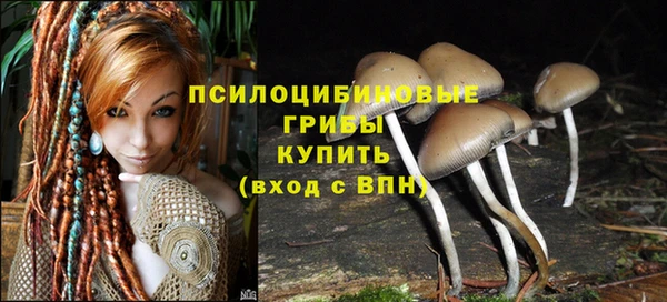 прущие грибы Абдулино
