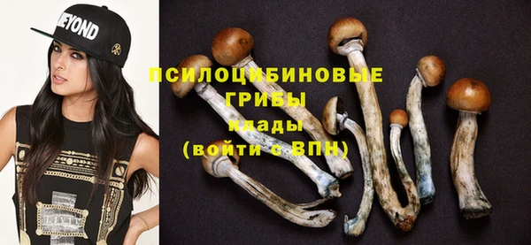 прущие грибы Абаза