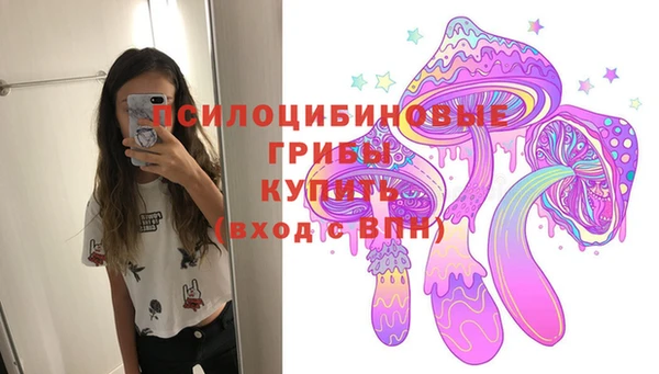 прущие грибы Абдулино