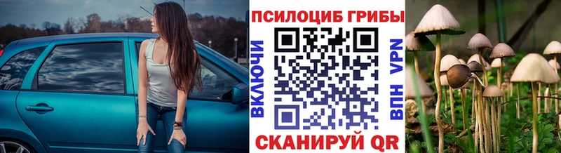 Псилоцибиновые грибы прущие грибы маркетплейс какой сайт блэк спрут tor Каменка где продают