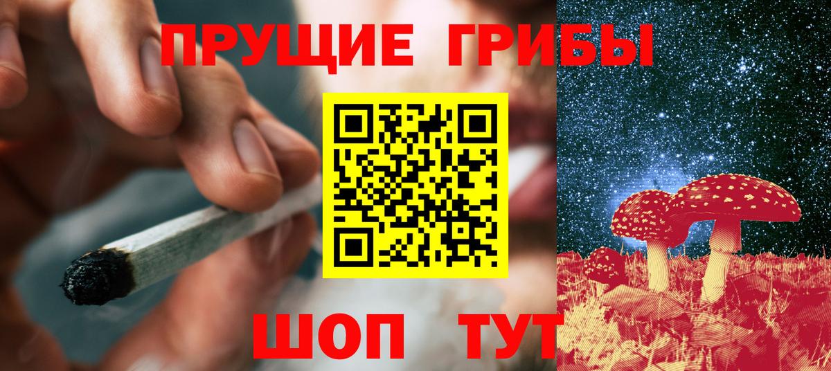 Галлюциногенные грибы Magic Shrooms  Псилоцибиновые грибы прущие грибы  Каменка  Вход с VPN 