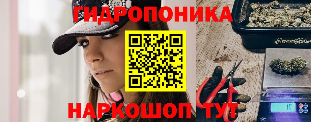 Каннабис AK-47 Каменка